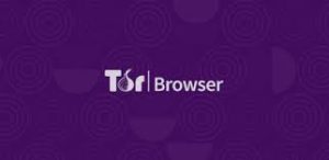 Tor Browser 14.0.2 Crack With Serial Key 2024 Free Download