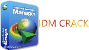 IDM 6.42 Build 20 Crack With Serial Key Download (2024)