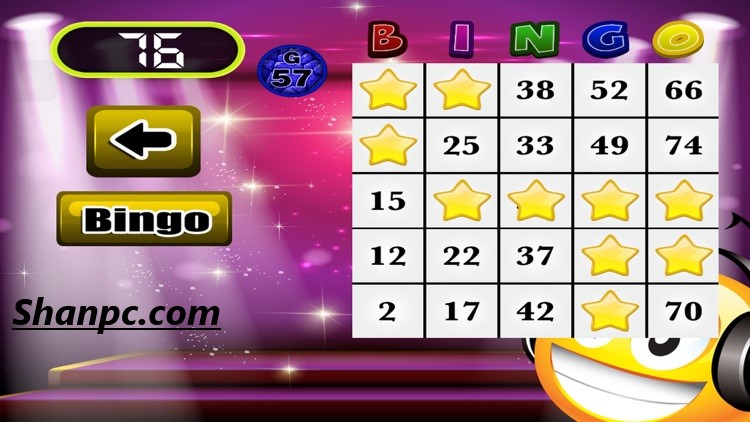 Bingo Numbers Crack 